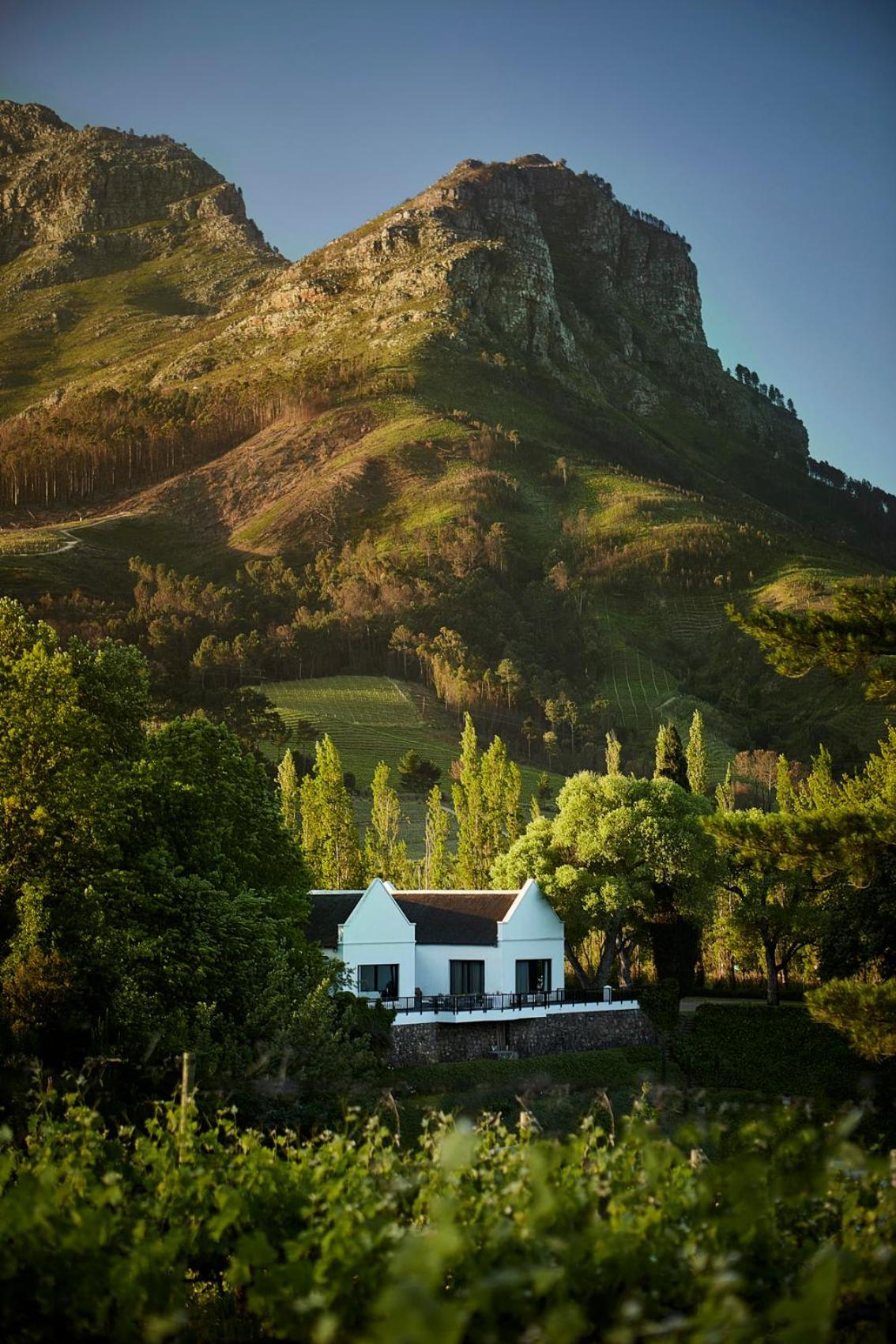 Molenvliet Vineyards Hotel Stellenbosch Eksteriør billede