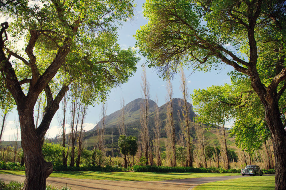 Molenvliet Vineyards Hotel Stellenbosch Eksteriør billede